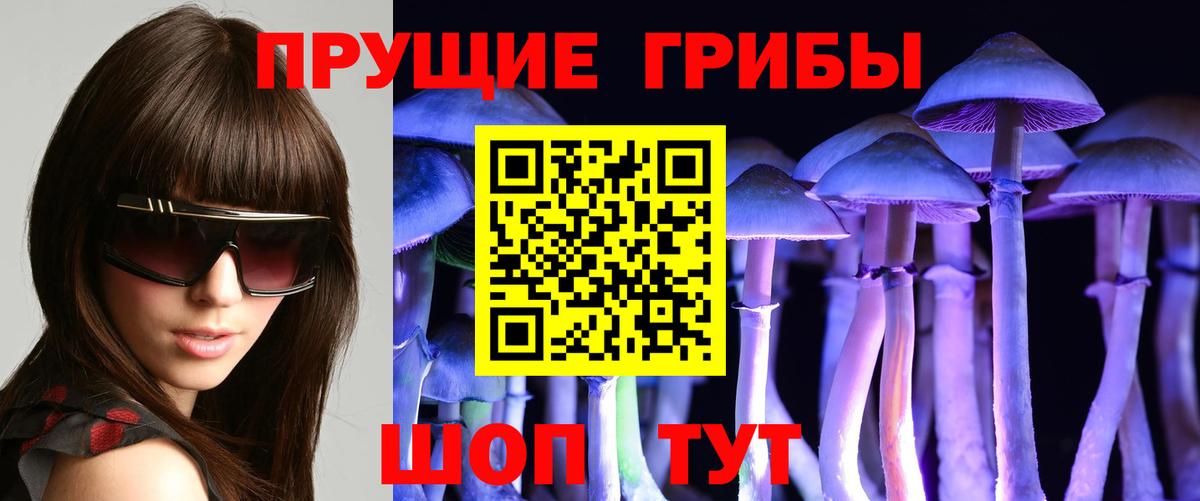 Дюртюли  Псилоцибиновые грибы GOLDEN TEACHER  Вход с VPN 